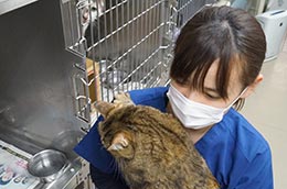 動物看護師/トリマー